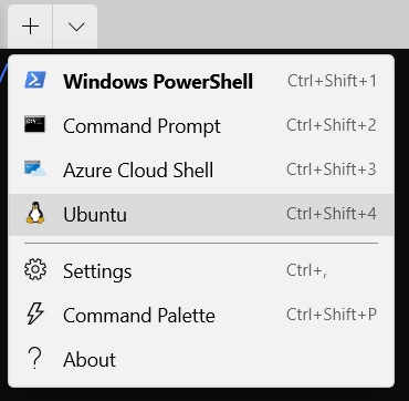 Ubuntu in the list of terminals you can open in Windows Terminal