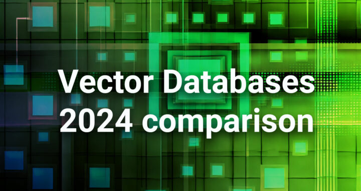 Vector Databases 2024